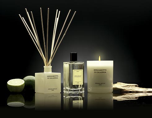 Cereria Molla Fig & Citrus Reed Diffuser – Innovative Home Brands